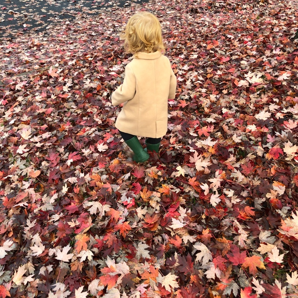 Meet your Posher, Ginny